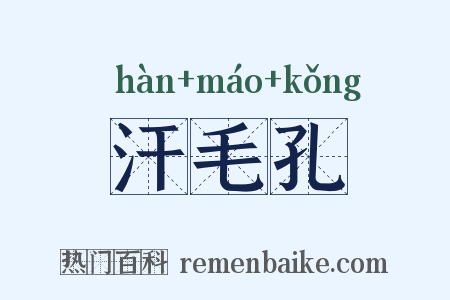 汗毛孔是什么意思的图片